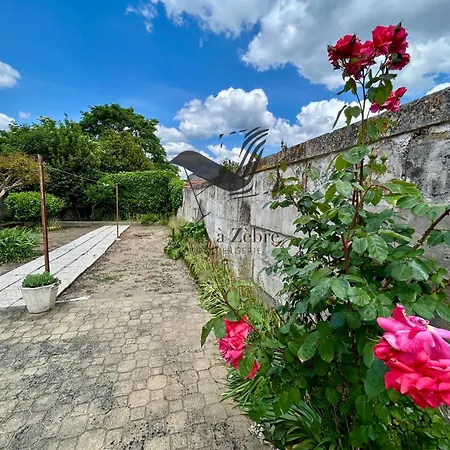 De Mali - De Plain Pied A Deux Pas Du Centre * 罗什福尔